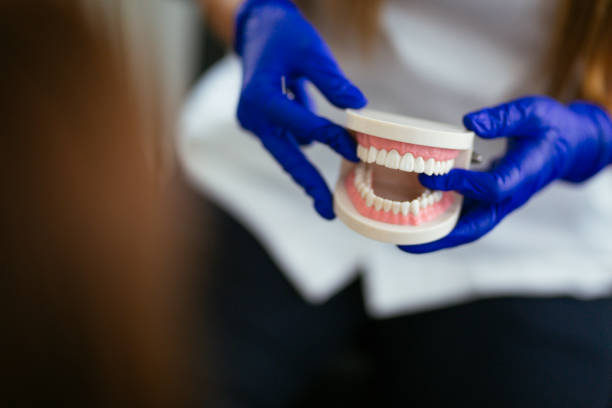Best Dental X-Rays and Imaging  in Jonesboro, IL
