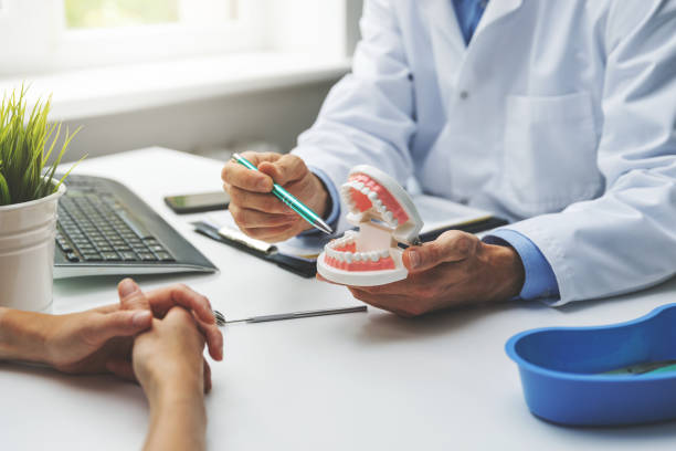 Professional Holistic Dental Care Services in Jonesboro, IL